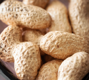 PEANUT INSHELL ROASTED