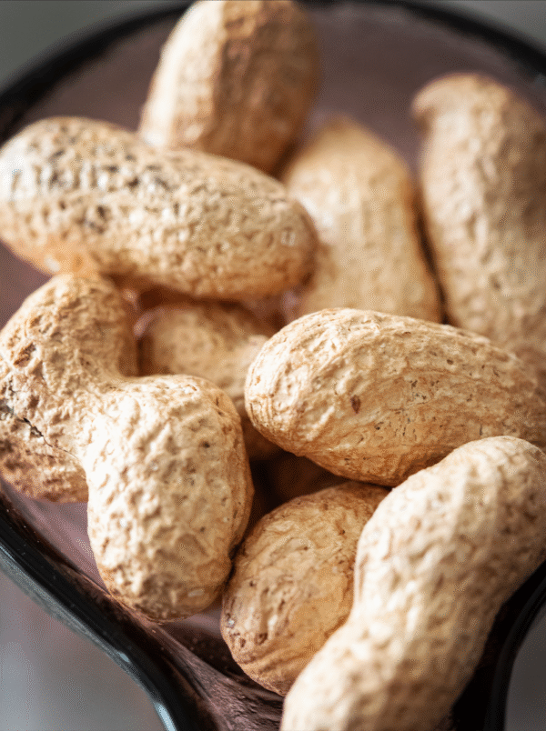 PEANUT INSHELL ROASTED