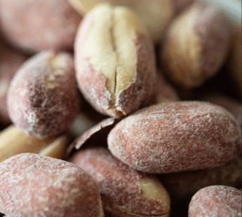 PEANUT ROASTED SALT