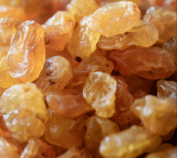 GOLDEN RAISIN SMALL