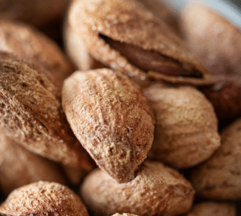 ROASTED ALMOND INSHELL