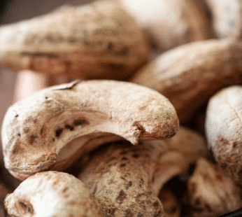 ROASTED CASHEW (W160)