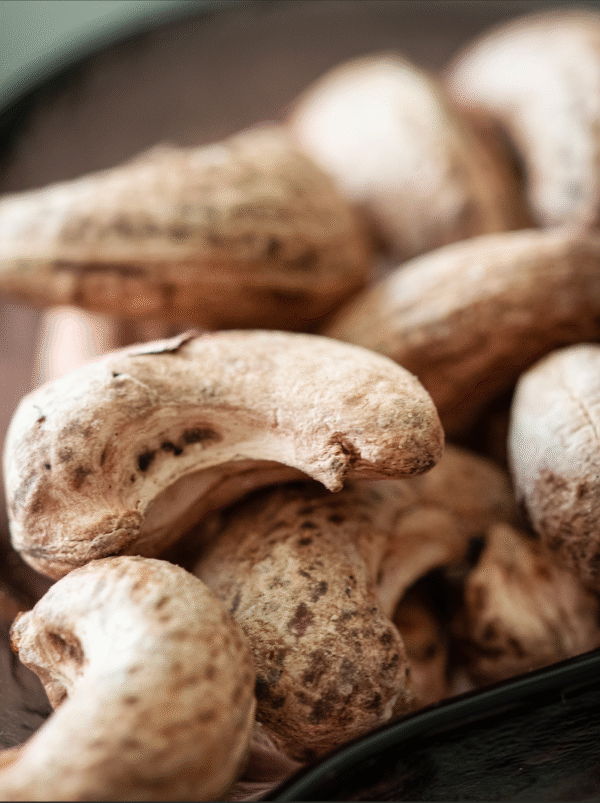 ROASTED CASHEW (W160)