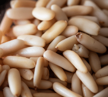 SNOBER PINE NUTS (PAK)
