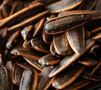 SUNFLOWER SEEDS ROASTED BBQ