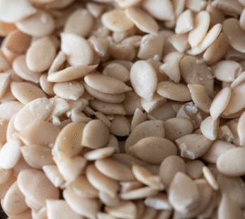 WATERMELON SEEDS