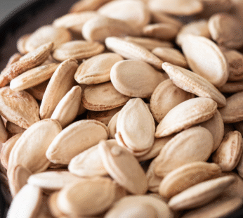 EGYPTIAN SEEDS ROASTED WHITE