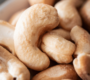 ROASTED CASHEW SALT (240)