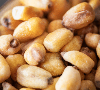 ROASTED SALTED CORN