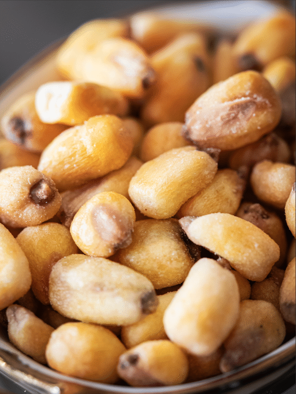 ROASTED SALTED CORN