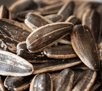 SUNFLOWER SEEDS ROASTED LEMON