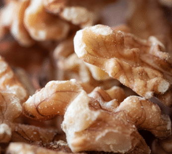 WALNUT KERNEL (USA)