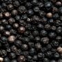 BLACK PEPPER