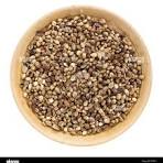 SEEDS
